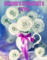 18936CD4-3709-451D-8333-598F8BCF60EF.webp