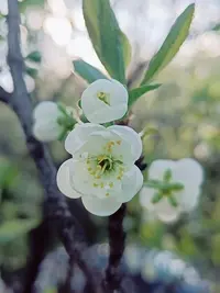 20240504171135.webp