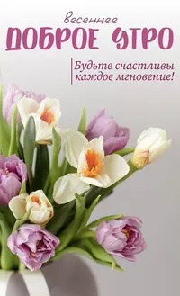 9_102535_605.webp