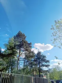 20240504171046.webp