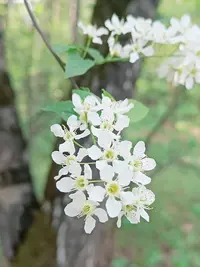 20240504171818.webp