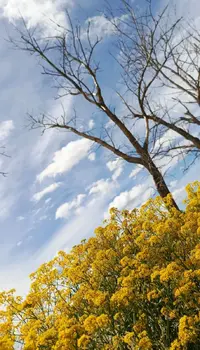 Коасотаааа.webp