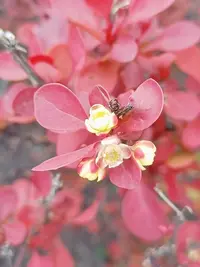 20240506170513.webp