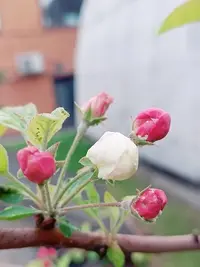 20240506161849.webp