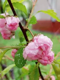 20240507130518.webp