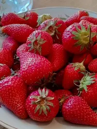 imgonline-com-ua-Resize-CDH5KcSX41ym2.webp