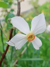 20240509075640.webp
