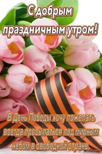 IMG_2941.webp