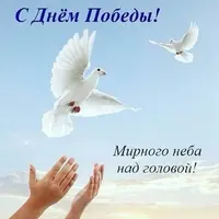 a34c8d3b0507ef353f082628f25fd9f9.webp