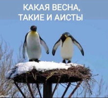 Screenshot_2024-05-09-23-15-42-89_68e74cc0265513bba3f4cf8e2c9891fe.webp