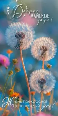 CF4EA49D-849F-4EA9-A217-47F473DB55B0.webp