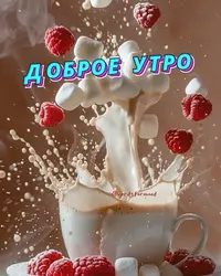 910.webp