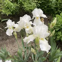 IMG_3370.webp