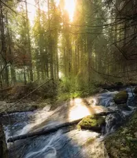 C55D28C1-C66A-4846-B913-A90F088325DF.webp