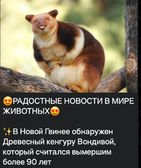 Screenshot_2024-05-13-08-30-03-32_948cd9899890cbd5c2798760b2b95377.webp