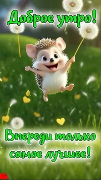 7_403.webp