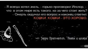 1200.webp