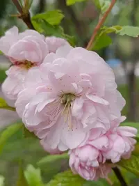 20240513143822.webp