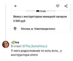 9912221117139.webp