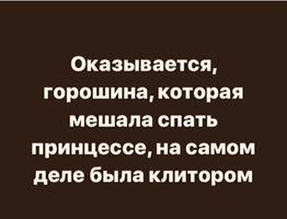 IMG_1330.webp