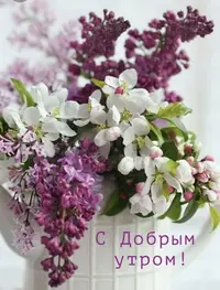 IMG_3012.webp
