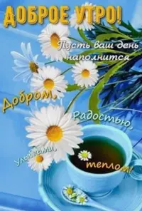 075D671E-5ABD-4E6C-B9F1-81C5EE15C07B.webp