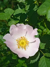 imgonline-com-ua-Resize-zH3crmH328.webp