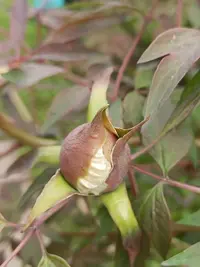 20240514131645.webp