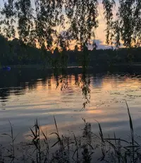 1000001364-01.webp