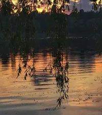 1000001365-01.webp