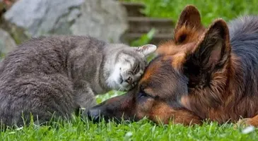 803C8C96-AB87-4BE9-9BD3-776A24292629.webp