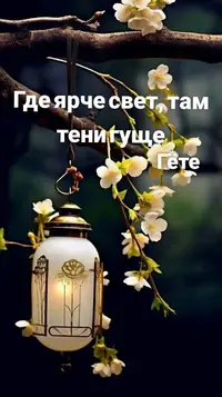 87.webp