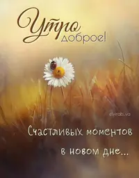 312.webp
