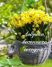IMG_3038.webp