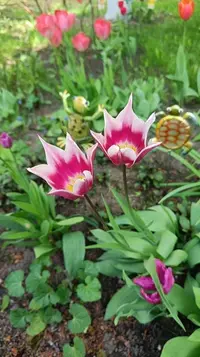 IMG20240516095813.webp
