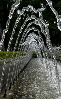 IMG_4024.webp