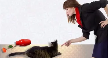 9EF92521-EEB6-4824-9E60-2AE9F3281DF8.webp