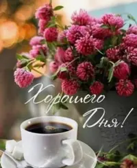 64EC2AF6-70FE-4AF2-BDE1-427DCE529D39.webp