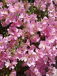 imgonline-com-ua-Resize-OVLlhssMz07AKc.webp