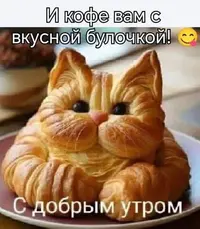 563.webp