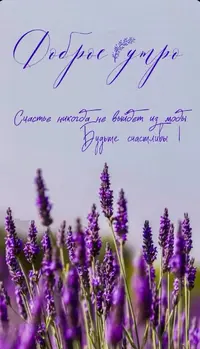 IMG_3049.webp