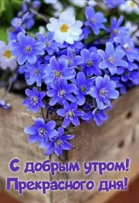 IMG_3053.webp