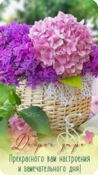 92DC16D7-1200-4E7B-A465-75647278F3E3.webp
