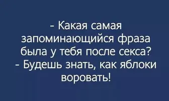444515839_1182789239398562_2967034082192903215_n.webp