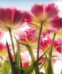 A30CD13D-6C8C-4E09-81DA-7E91ED15EF92.webp