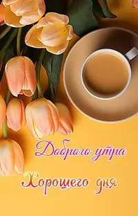 95607_719.webp