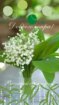IMG_3058.webp