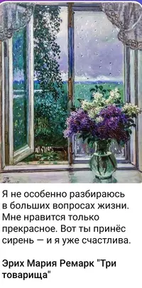 929.webp