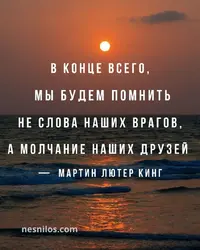 IMG_3639.webp