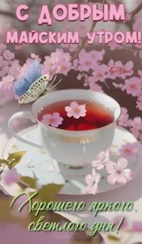 630640F5-CDAE-45A8-9D6A-A17ED58A422C.webp